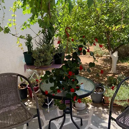 Isidora Hotell Agia Marina (Aegina)