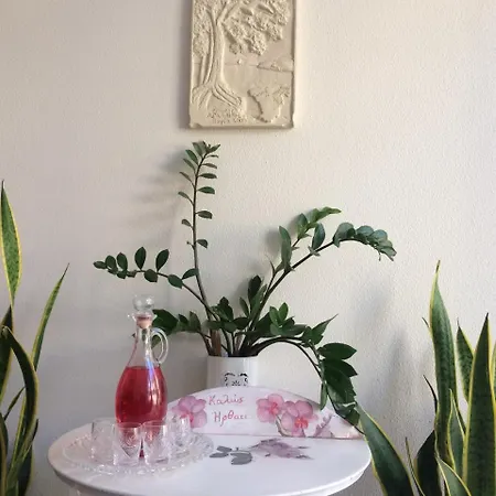 Isidora 2*